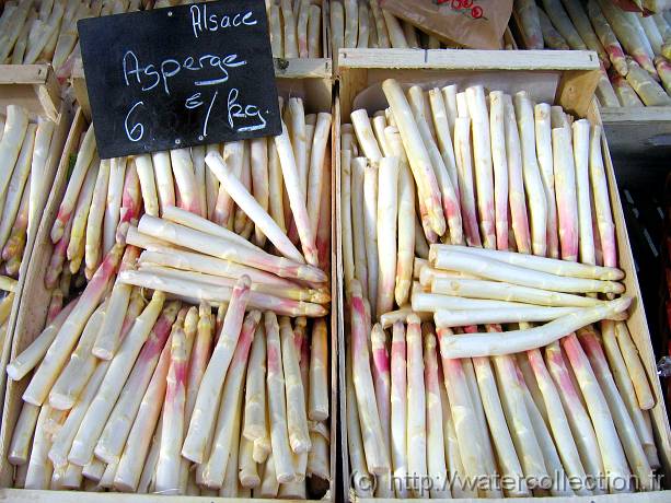 2007-05-12_08-36-33_Mai_37,6mm_1_500_eme_Canon PowerShot A95 